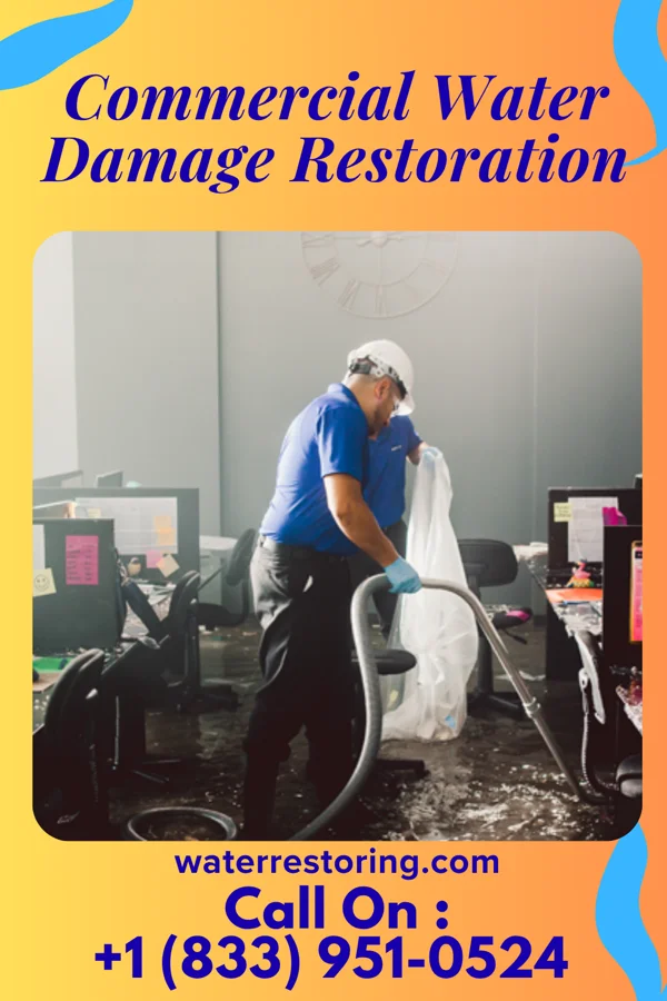 Commercial Water Damage Restoration in Rancho Viejo, TX