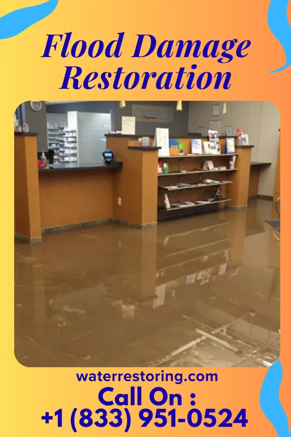 Flood Damage Restoration in Rancho Viejo, TX