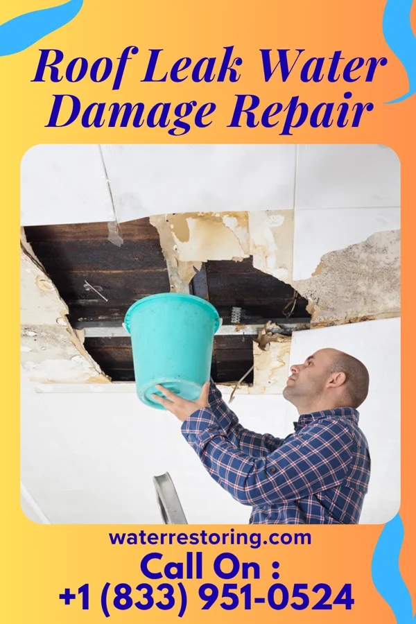 Roof Leak Water Damage Repair in Rancho Viejo, TX