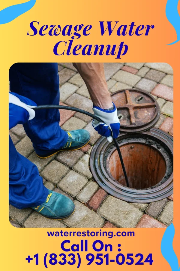 Sewage Water Cleanup in Rancho Viejo, TX